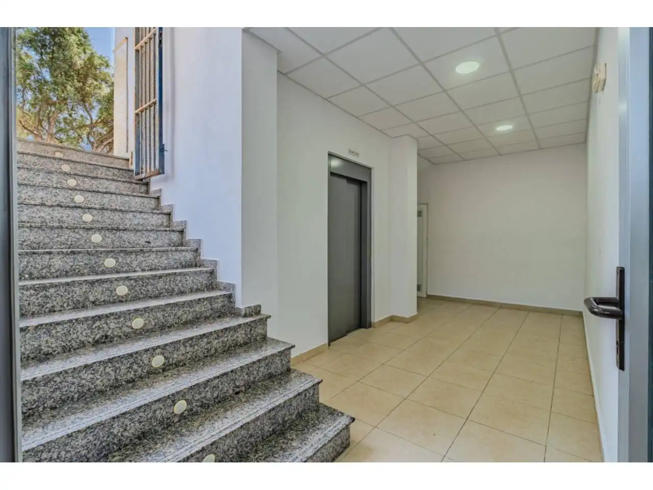 Local comercial en venta en Calle Patricio Zammit 75, imagen 4