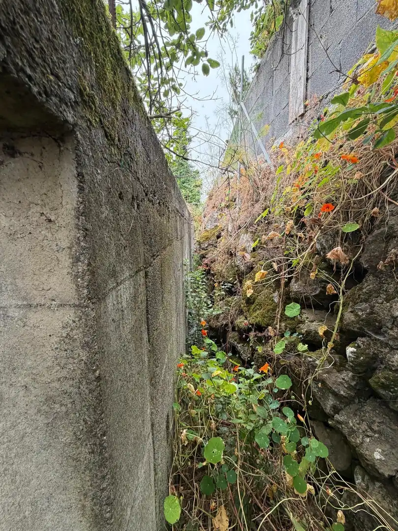 Terreno rustico in vendita a El Bebedero - Pinolere - Aguamansa, imagen 38