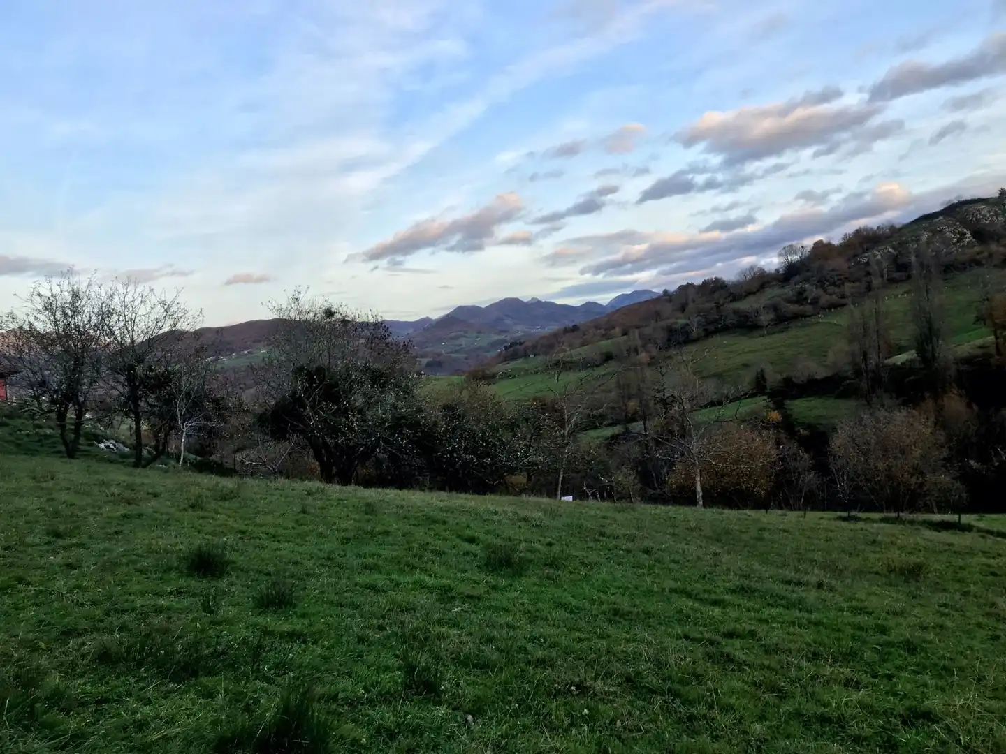Terreni e lotti in vendita a Cangas de Onís, imagen 5