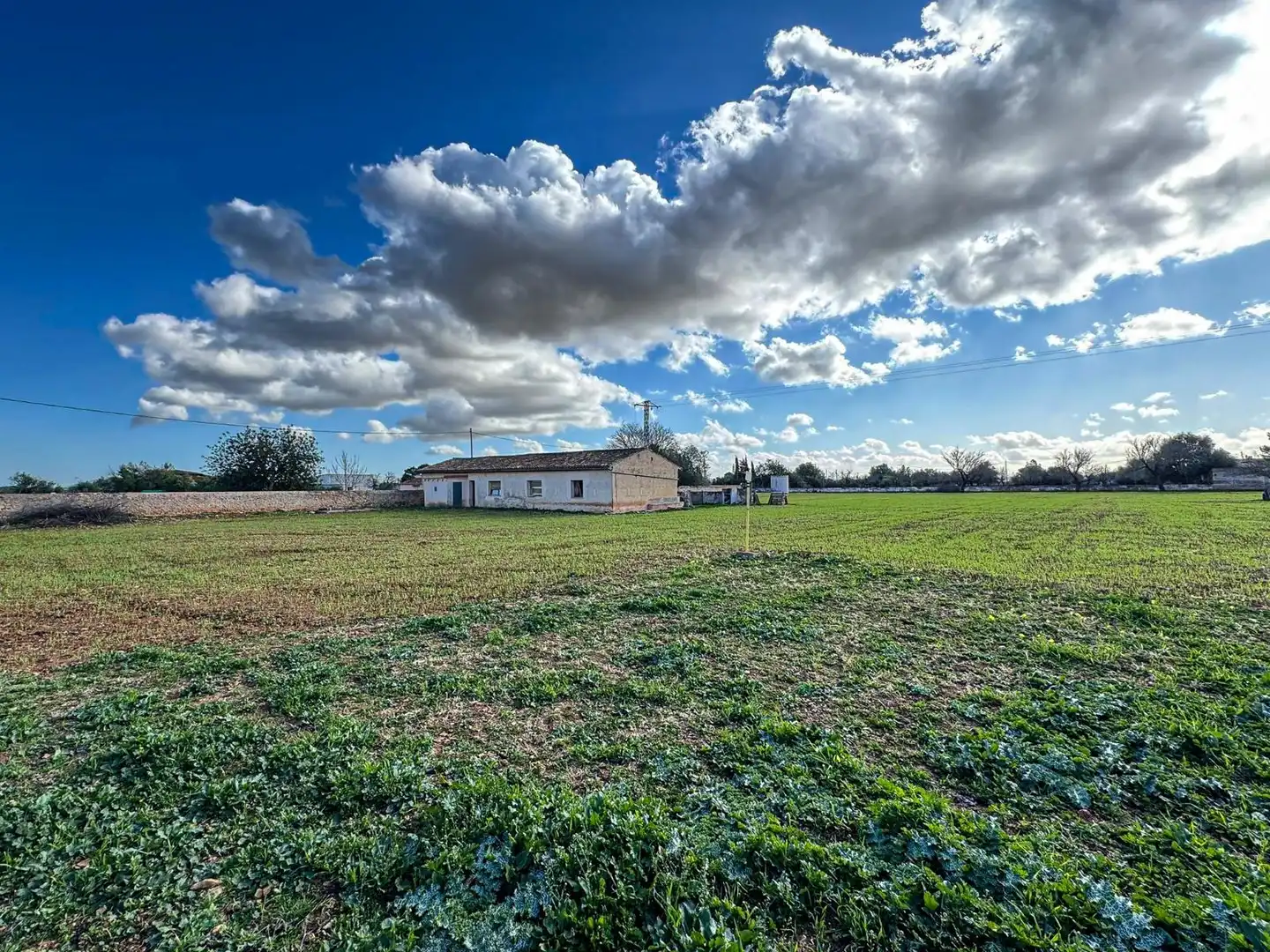 Terreno industrial en venta en Binissalem