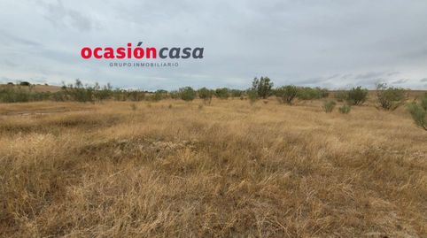 FINCA RÚSTICA EN VILLARALTO, imatge 2