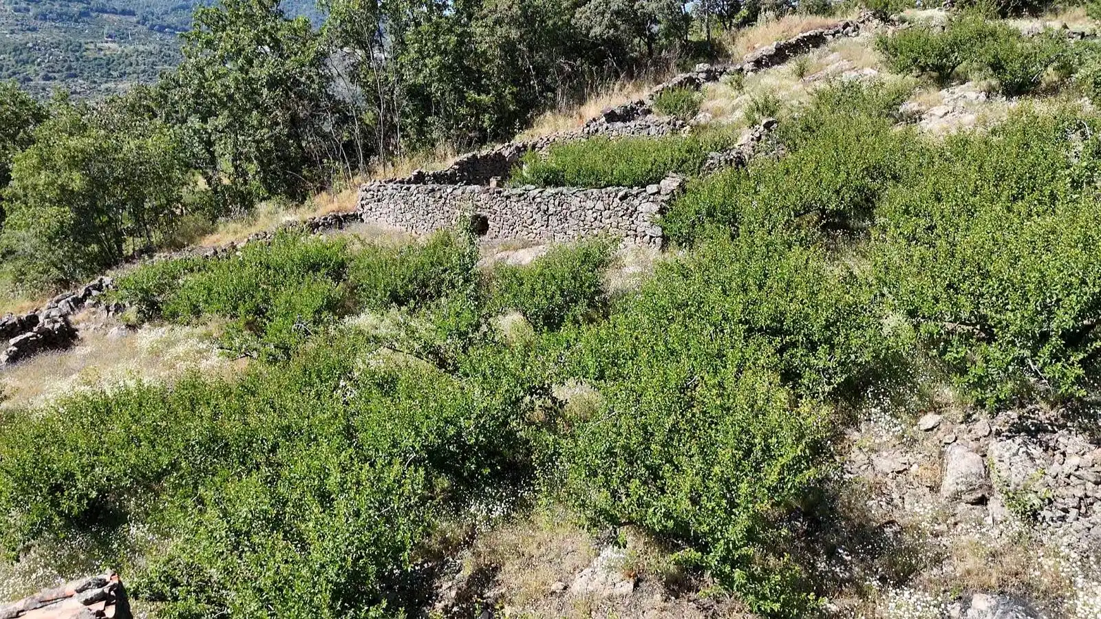 Terreni e lotti in vendita a Urbanizacion el Pajarejo, imagen 23