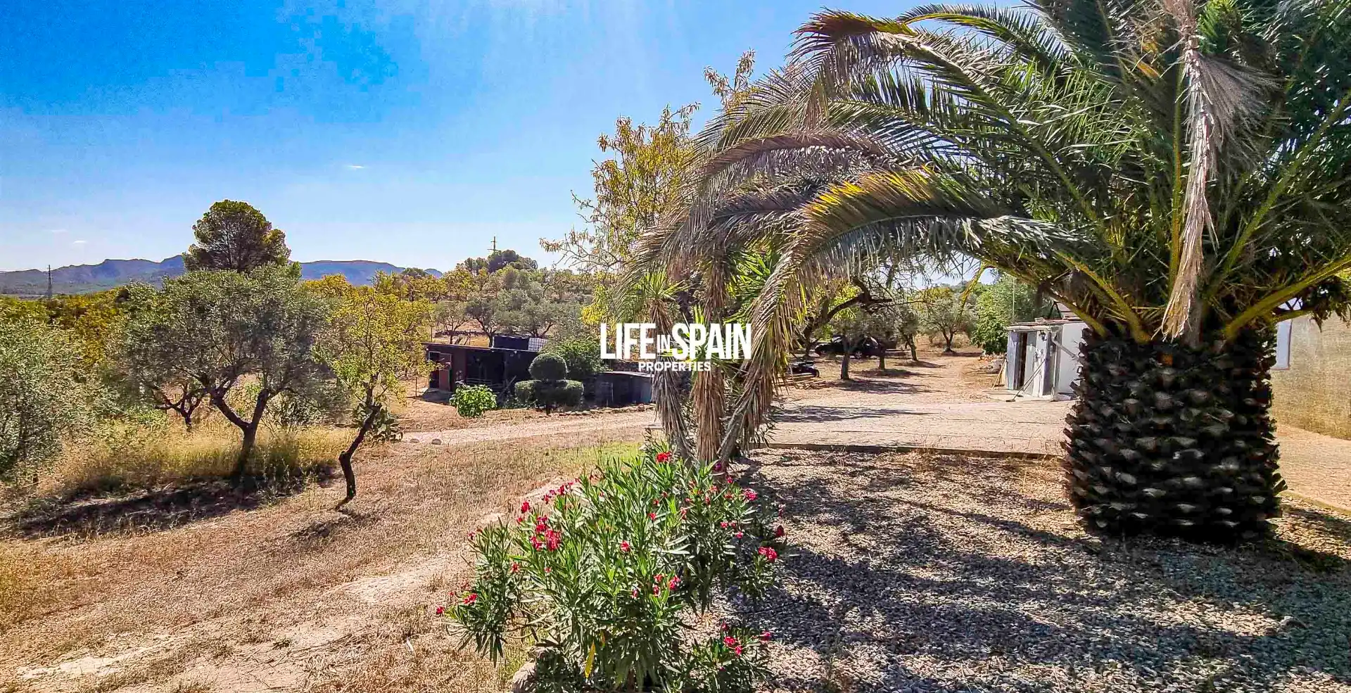 Vista exterior de Casa o chalet en venta en Ginestar con Calefacción, Jardín privado y Terraza