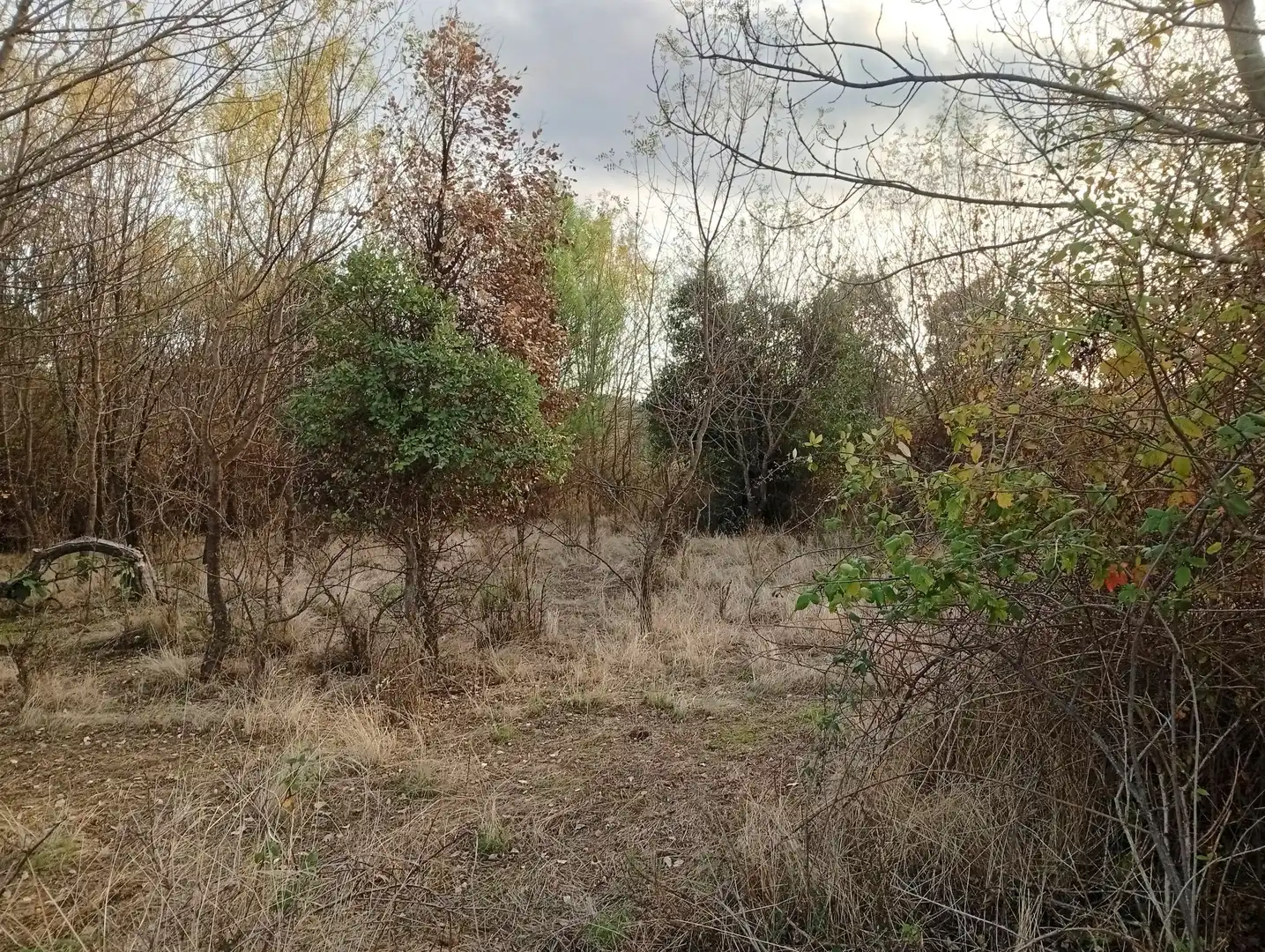 Terreni e lotti in vendita a Villanueva de la Vera, imagen 52