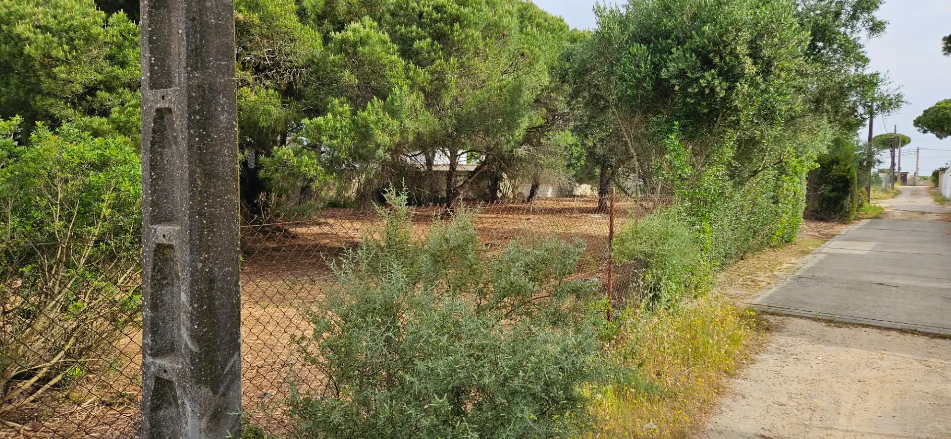 Terrenys i solars en venda a Las Lagunas - Campano, imagen 8