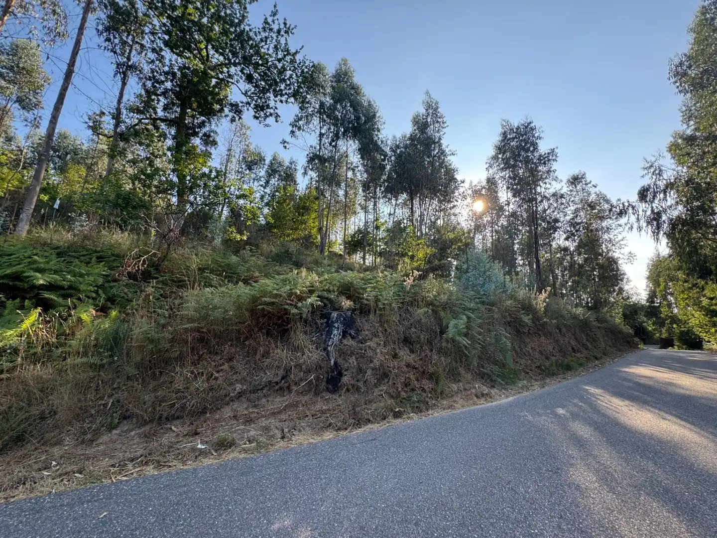 Lands and plots for sale in Lugar EIDO VELLO-BUDIÑO, imagen 9
