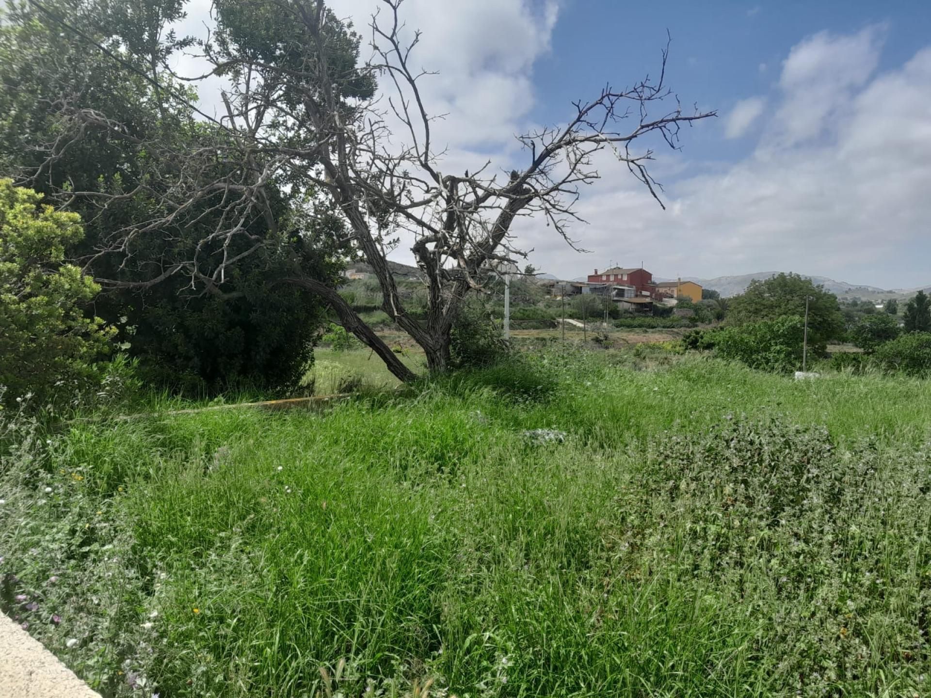 Finca rústica en venda en Cehegín
