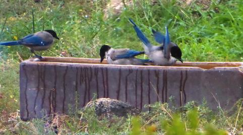 Photo 3 of Country house for sale in N/a, Montánchez, Cáceres