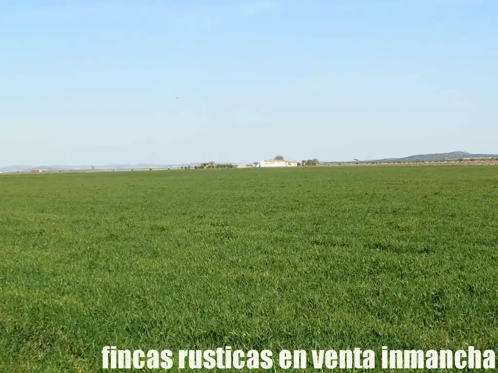 Terreni e lotti in vendita a Madridejos, imagen 6