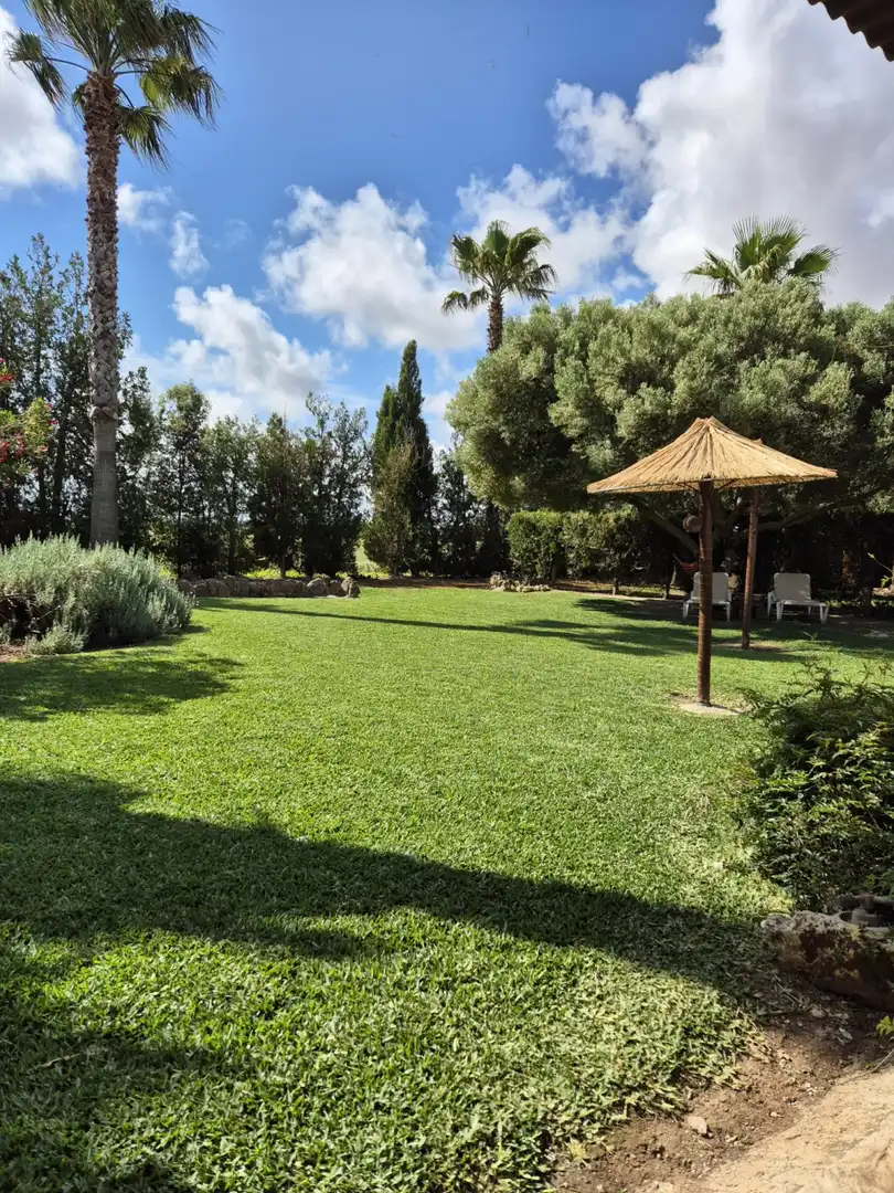 Jardín de Casa o chalet de alquiler en Sa Pobla con Calefacción, Jardín privado y Terraza