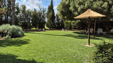 Photo 5 of Houses for rent in Pobla Sa - Ronda Sud, Sa Pobla, Illes Balears