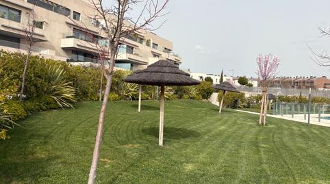 Foto 5 de Pis de lloguer a Avenida Víctimas del Terrorismo, Valenoso, Boadilla del Monte