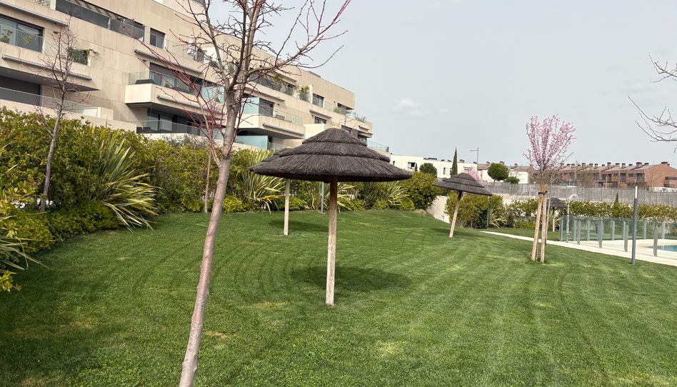 Piso de alquiler en Avenida Víctimas del Terrorismo, Valenoso - Imagen 5