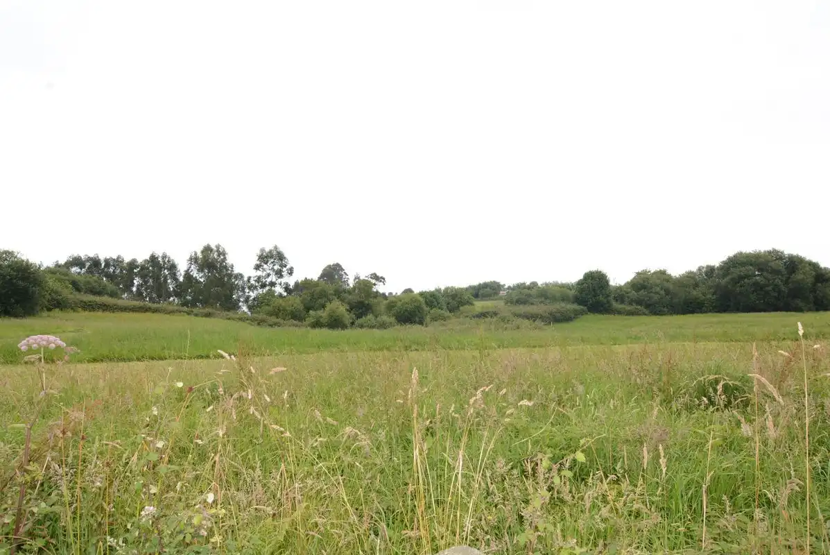 Residential for sale in Ribadedeva