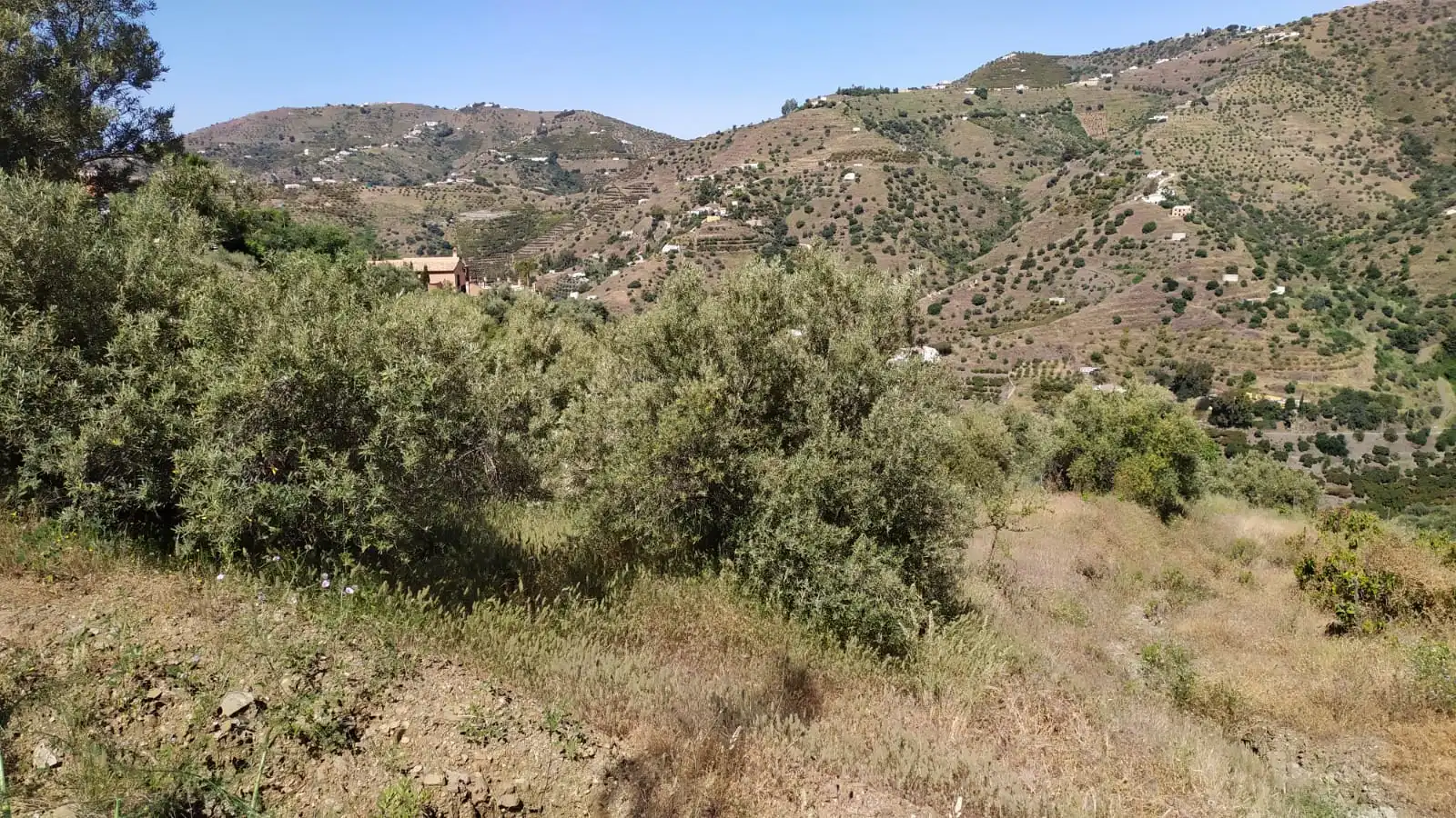 Country house zum Verkauf in Diseminado Pago Carrasco, 3051, Torrox Pueblo
