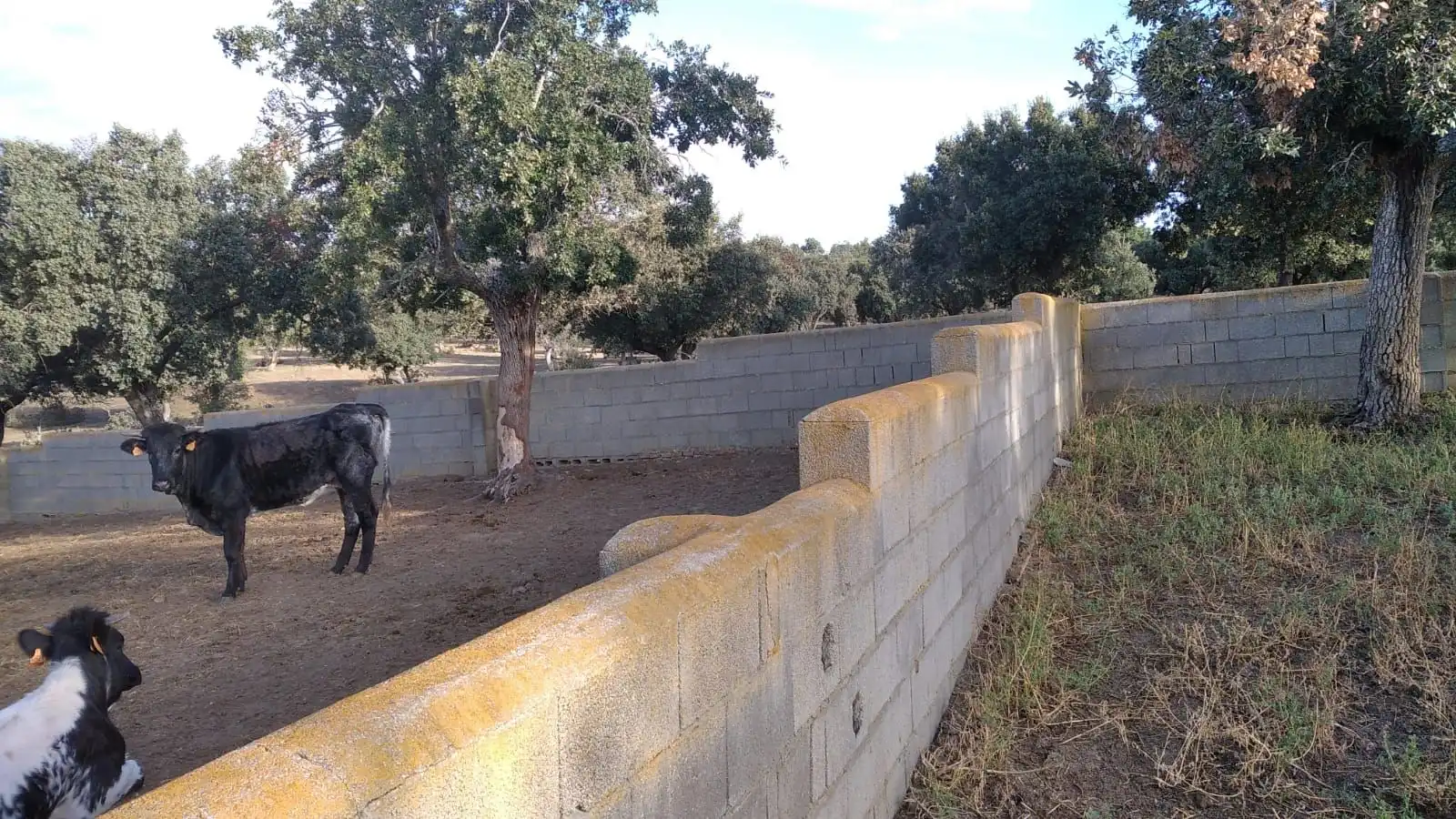 Rural land for sale in Topas, imagen 13