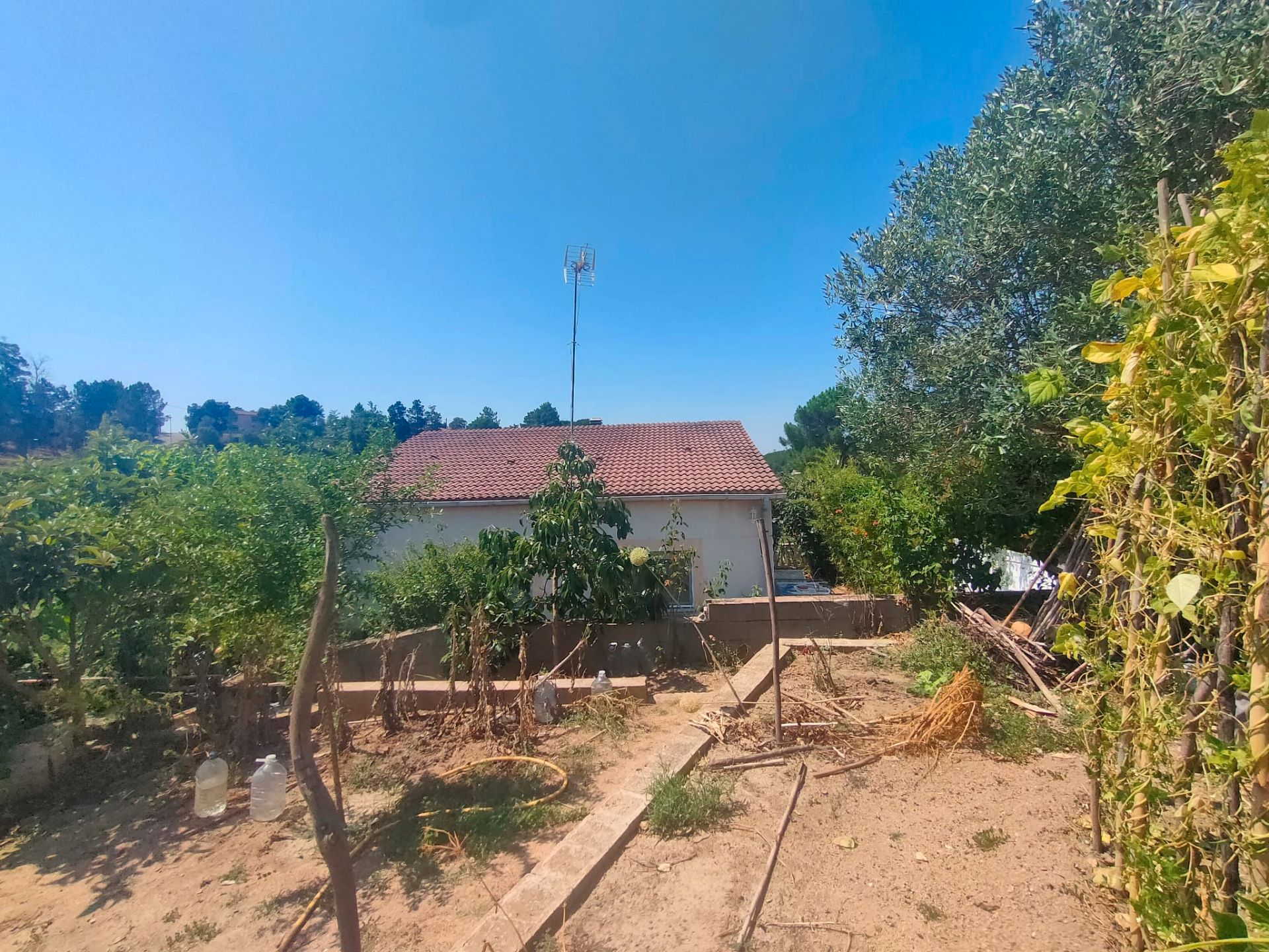 Casa o chalet en venta en Avinguda de Argimont