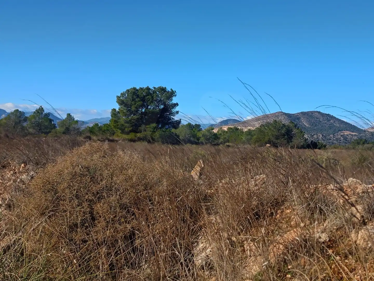 Grundstücke zum Verkauf in Lorca
