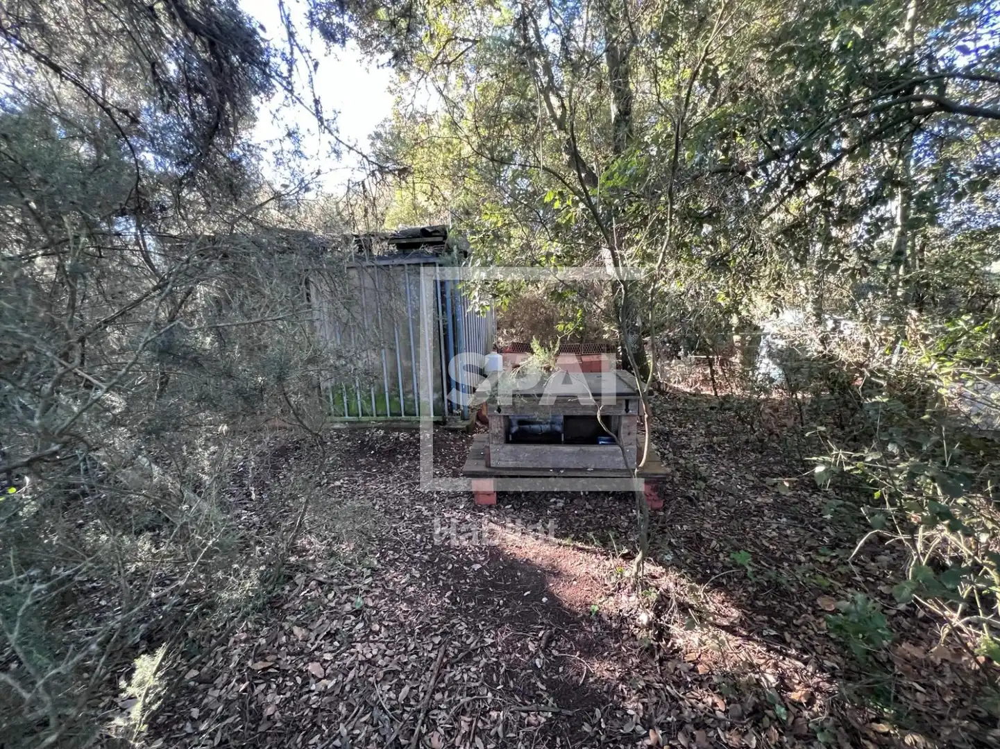 Terrain rustique à vendre à Sant Quirze Safaja - CL PUIG DARI, imagen 7