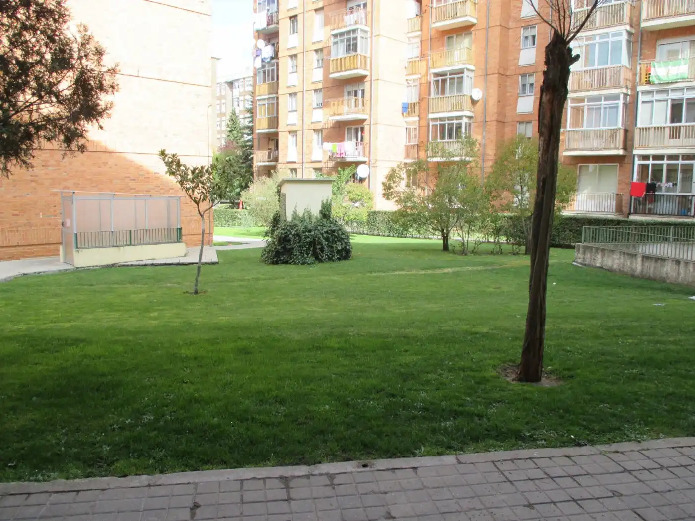 Jardí de Local en venda en Segovia