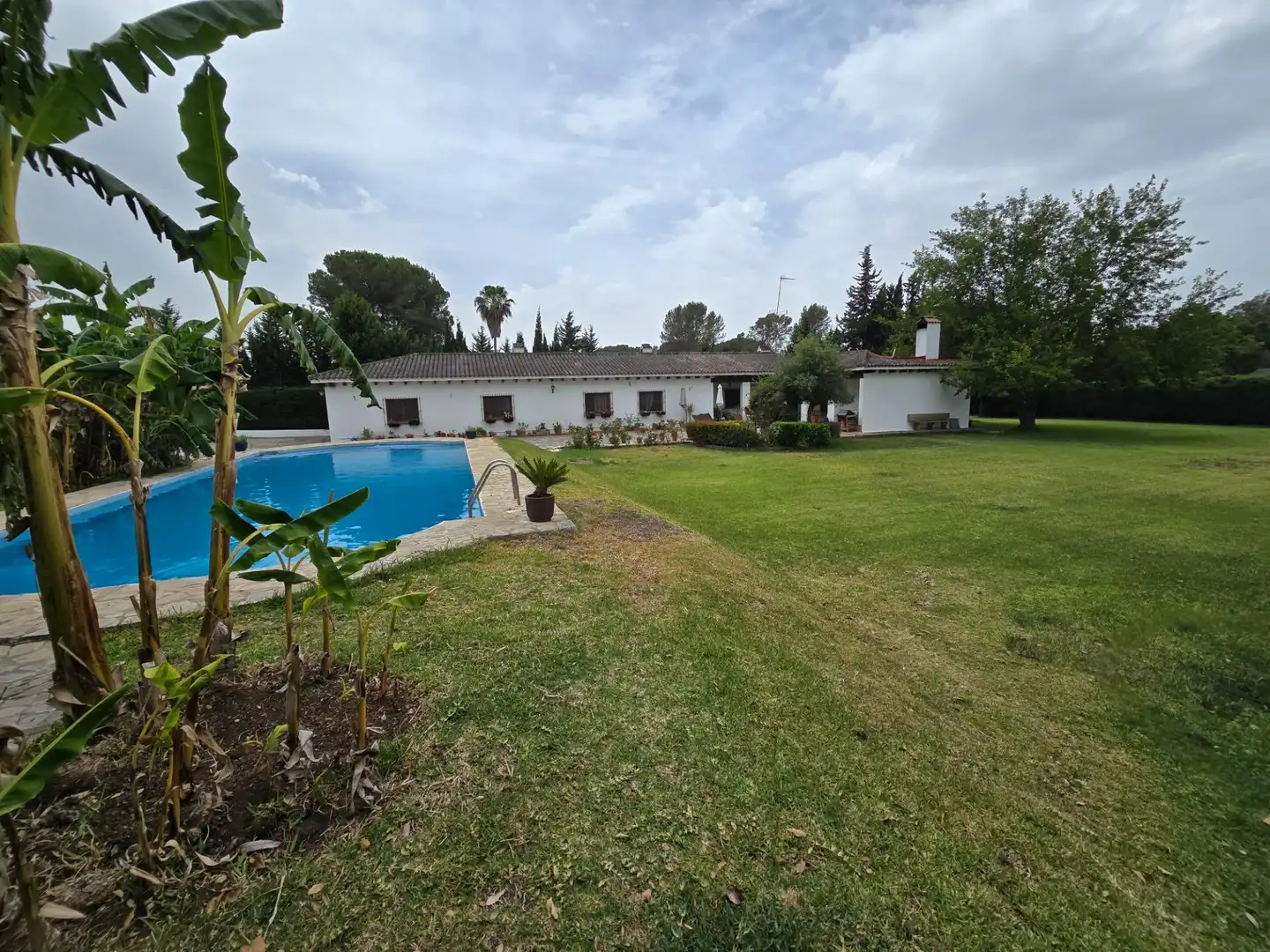 Jardí de Casa o xalet en venda en Jerez de la Frontera amb Aire condicionat, Calefacció i Terrassa