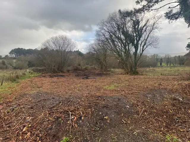 Terreno residencial en venta en Castropol, imagen 5