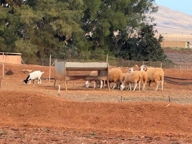 Terreno en Venta en Valles de Ortega