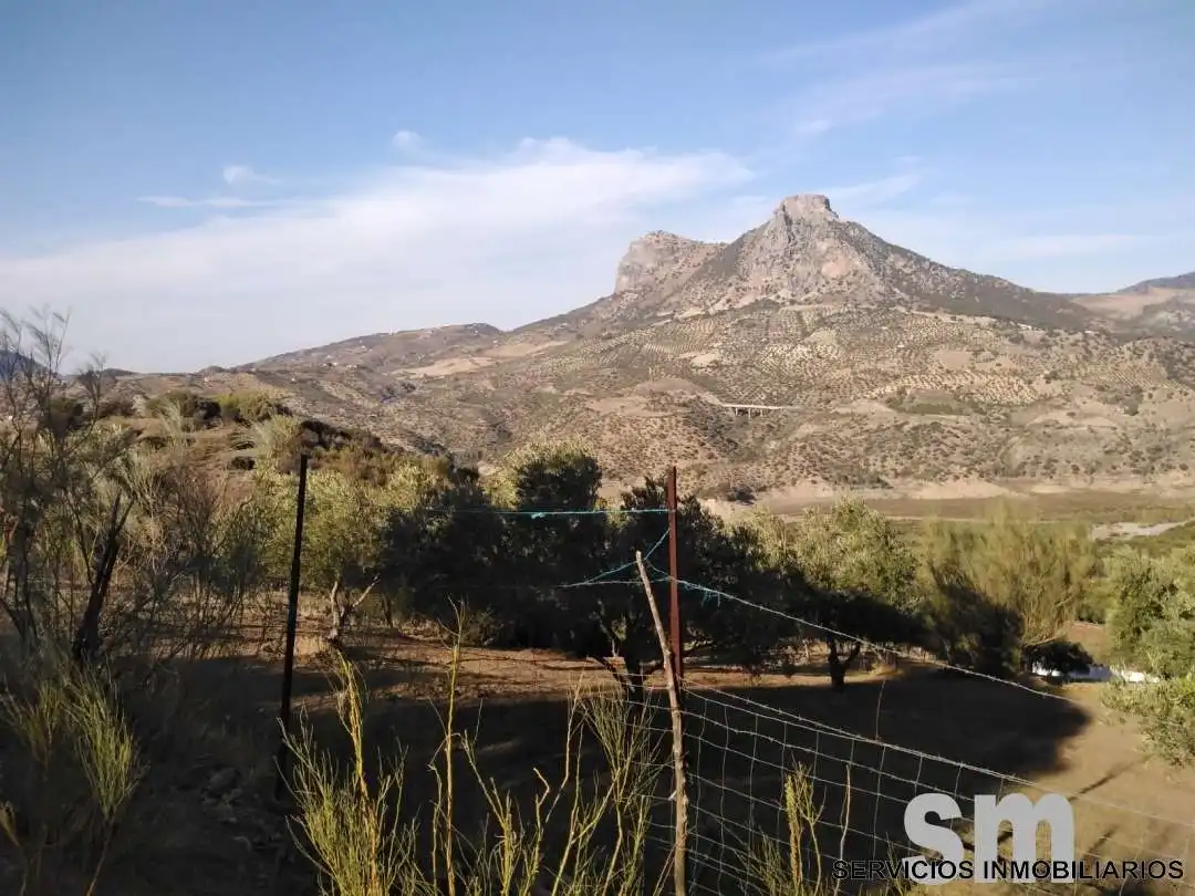 Terreno en venta en Zahara