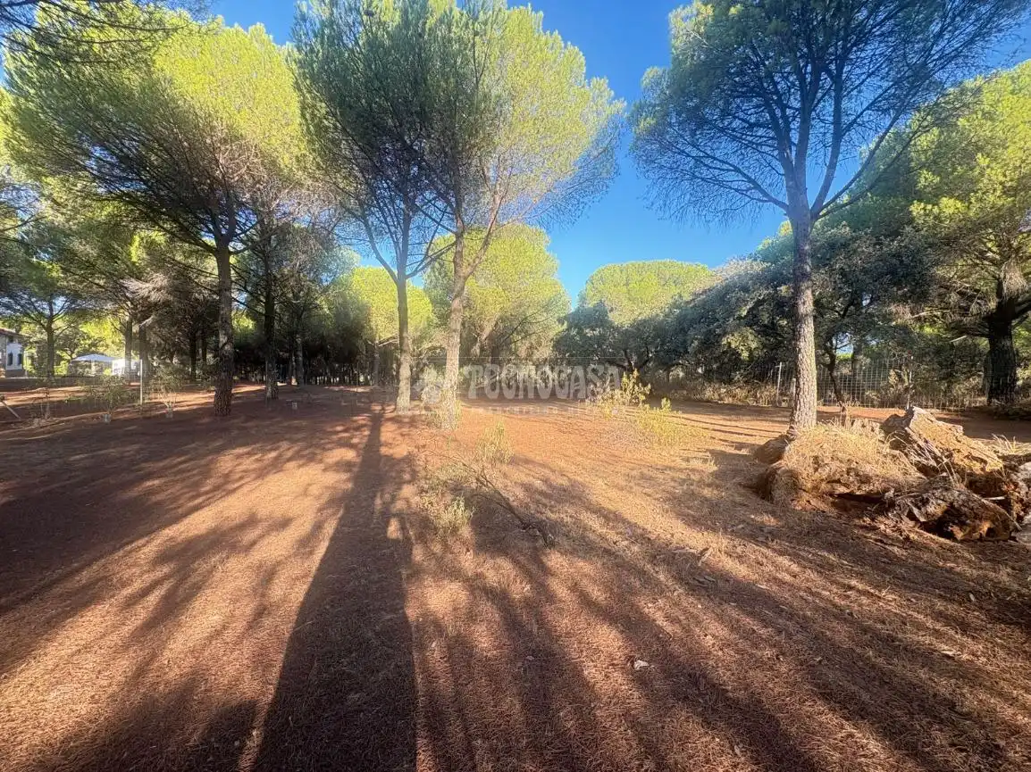 Casa rústica amb jardí en venda a Andújar, imagen 6