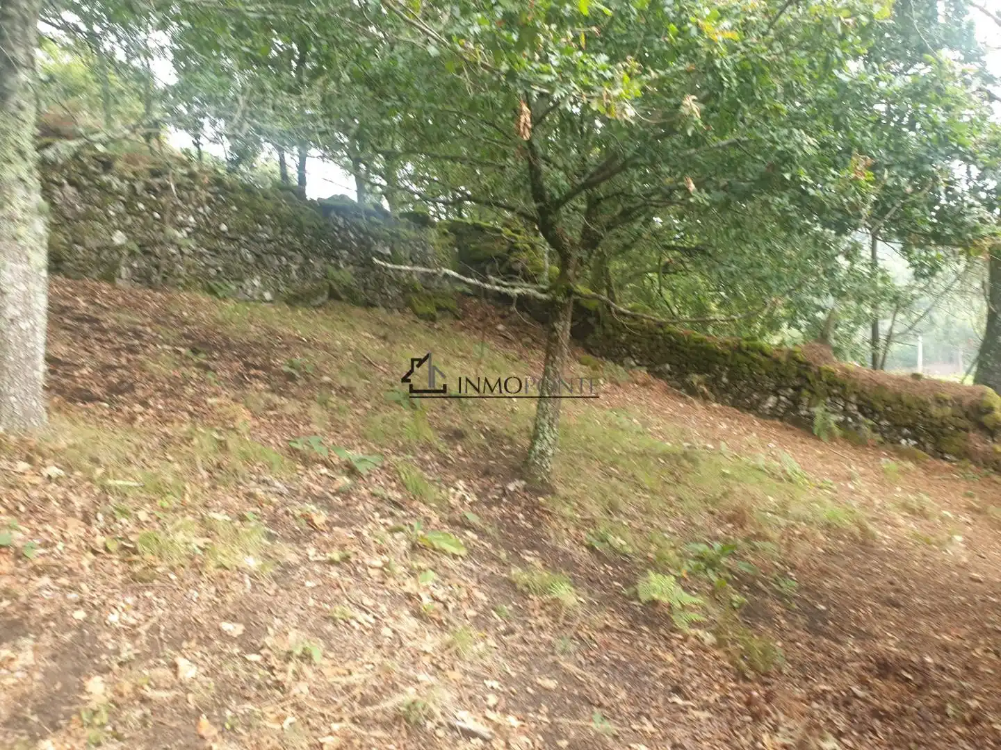 Casa o chalet en venta en Campo Lameiro con Jardín privado