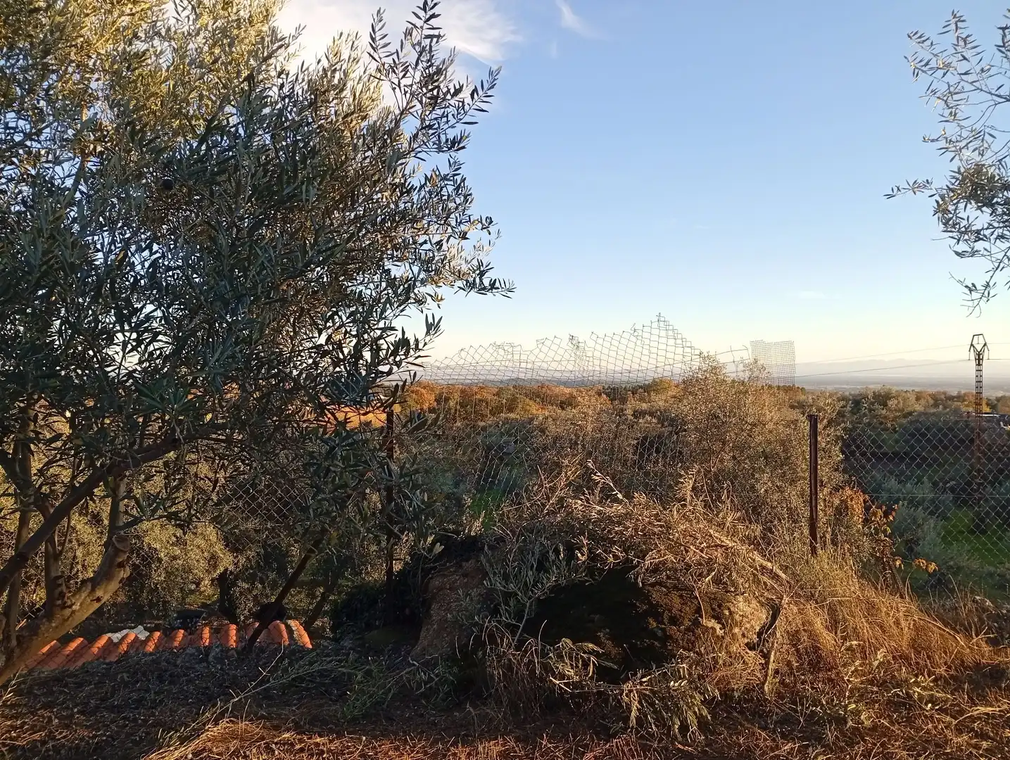 Terreni e lotti in vendita a Villanueva de la Vera, imagen 44