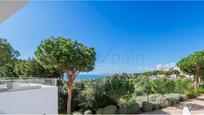 Garden of House or chalet for sale in Benalmádena