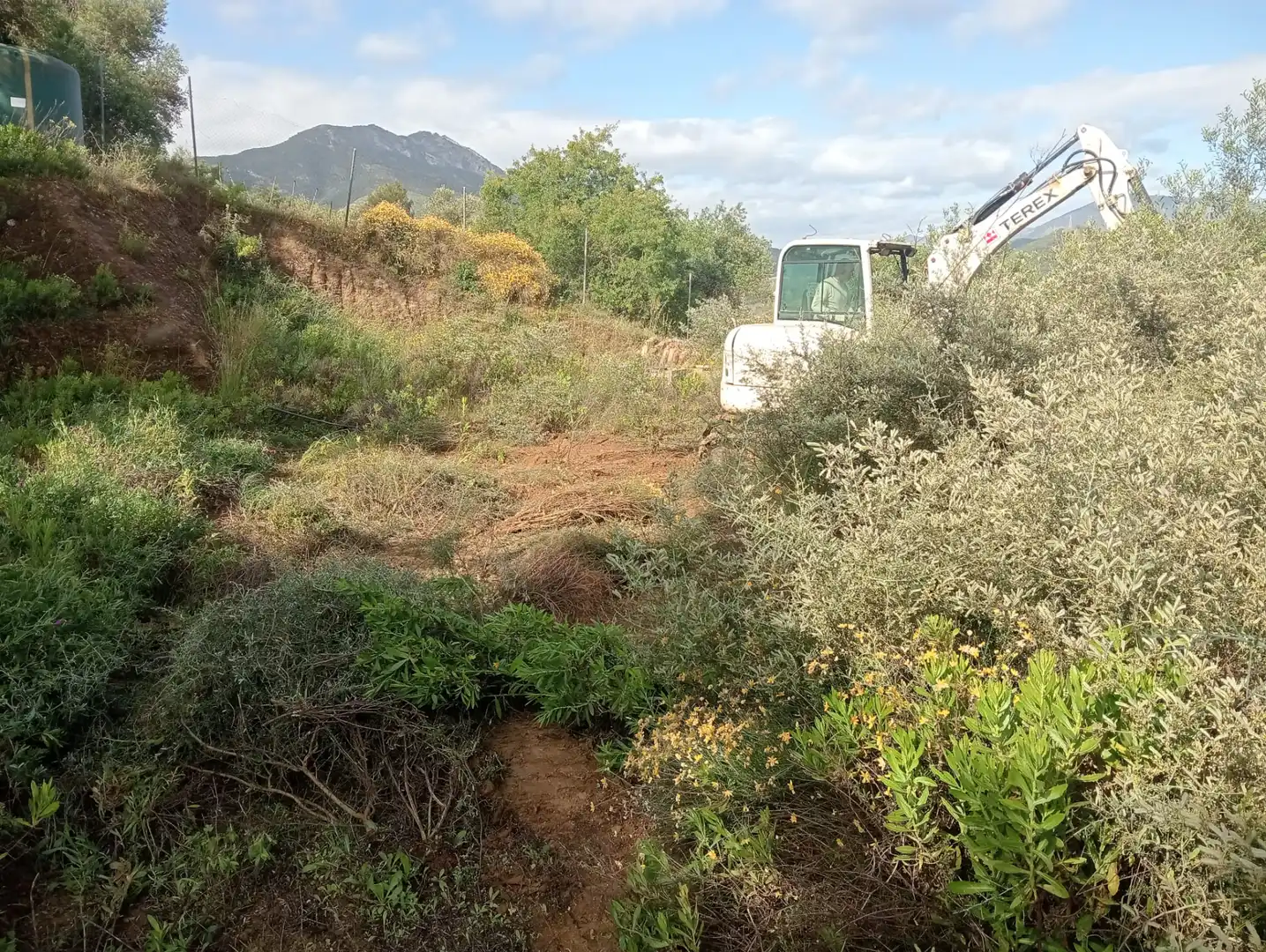Terreno rustico in vendita a Monda, imagen 12