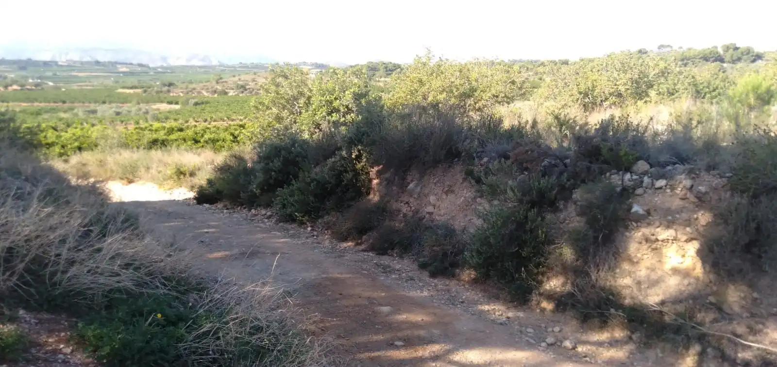 Finca rústica en venta en Pedralba con Jardín privado, Terraza y Trastero