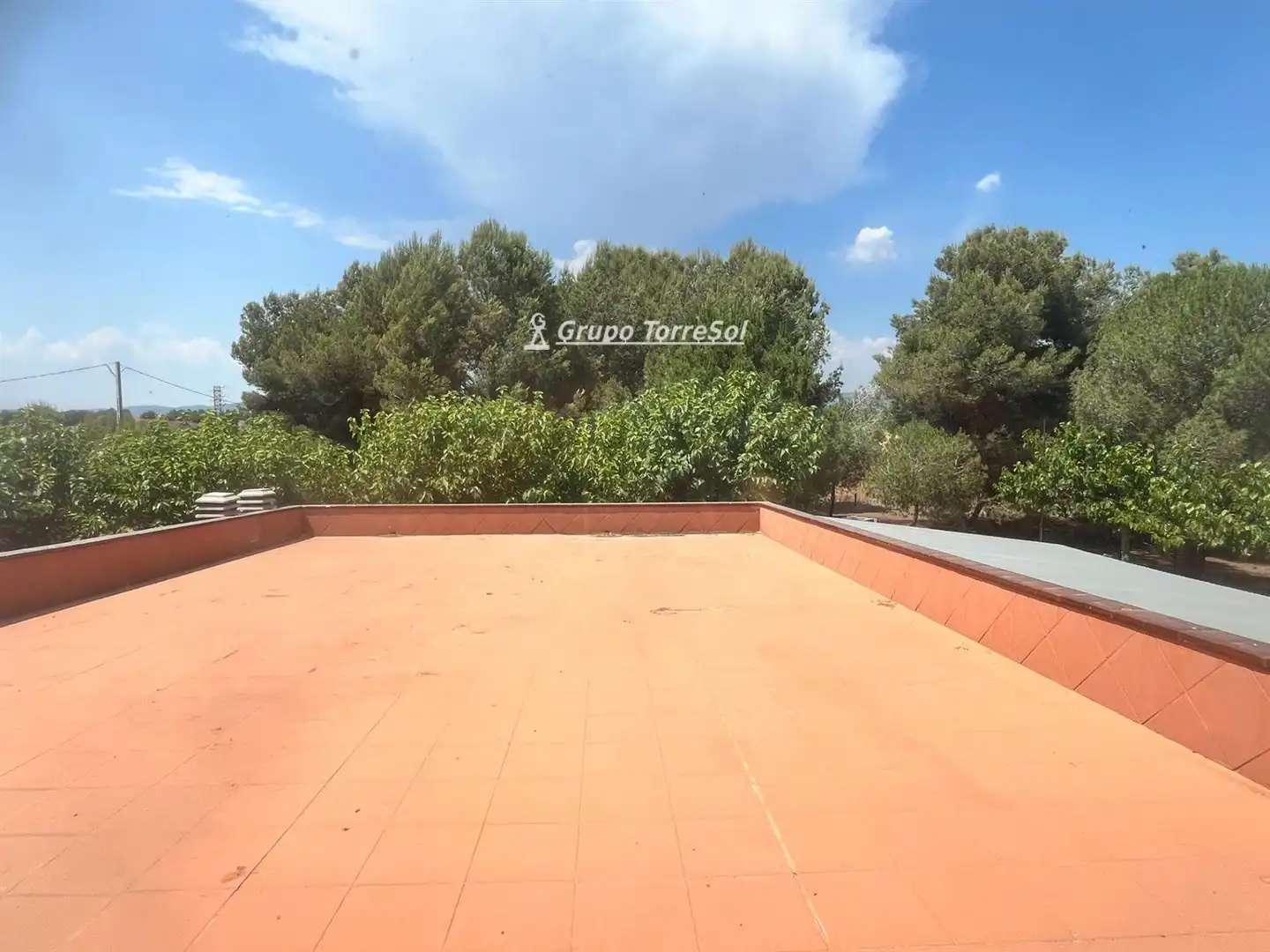 Chalet con piscina en venta en POLíGONO 7 PARAJE 65 JUNTO A CAL DENTISTA, imagen 38