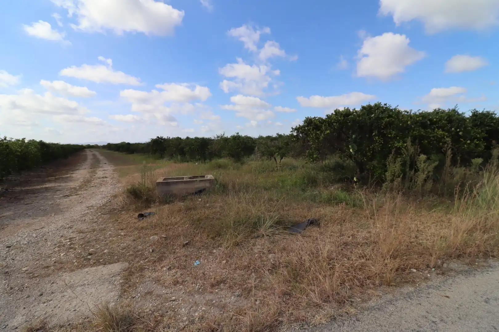 Rural land for sale in Partidas de interior - Zona Rústica, imagen 11