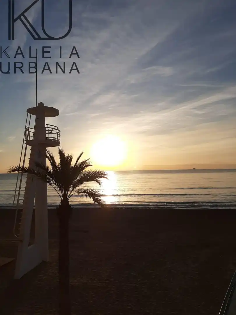 Estudi en venda en Alicante / Alacant amb Aire condicionat i Moblat