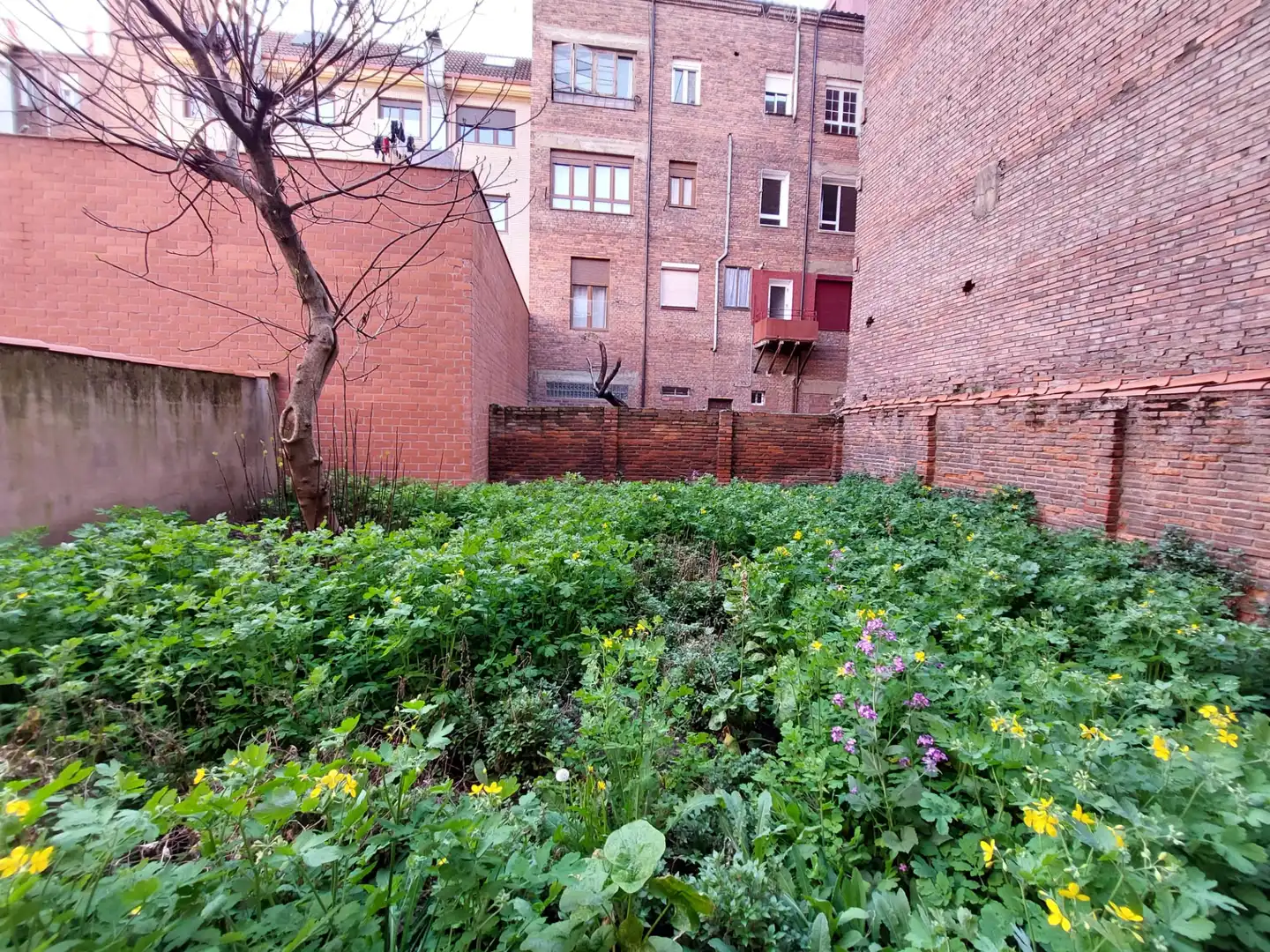 Wohnung zum Verkauf in León Capital  mit Heizung, Privatgarten und Abstellraum
