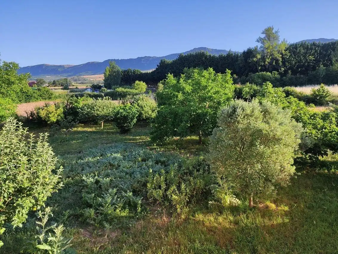 Casa o chalet en venta en Quintanaélez con Calefacción, Jardín privado y Terraza