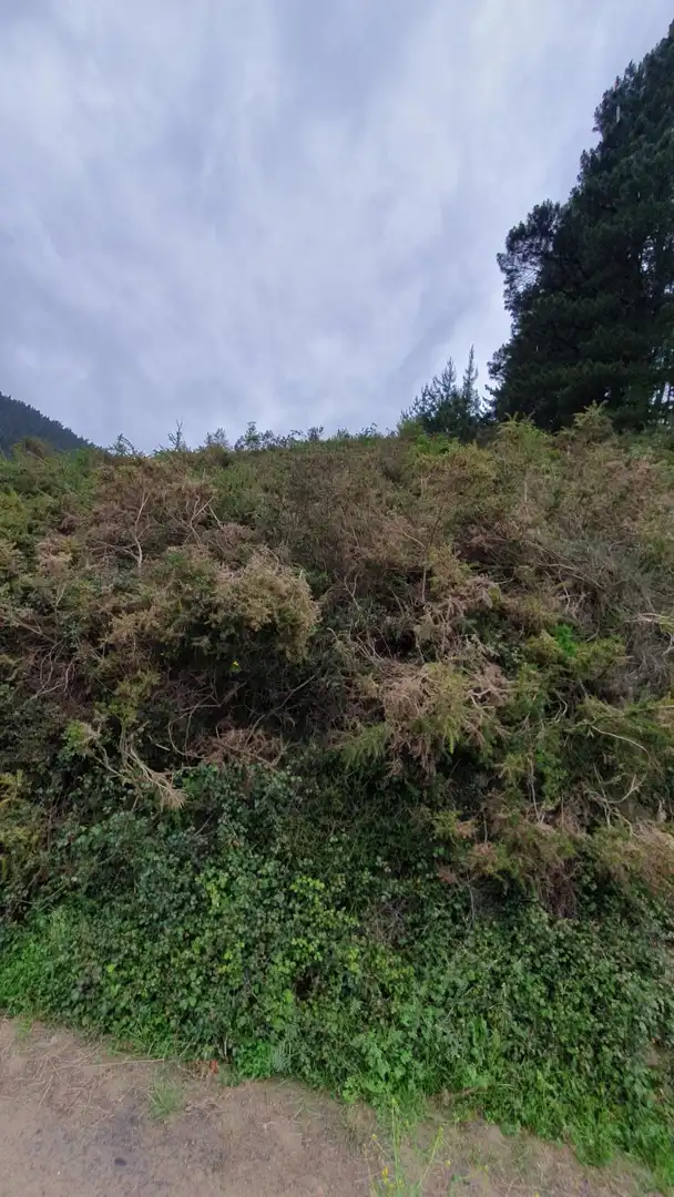 Land for sale in Laudio / Llodio