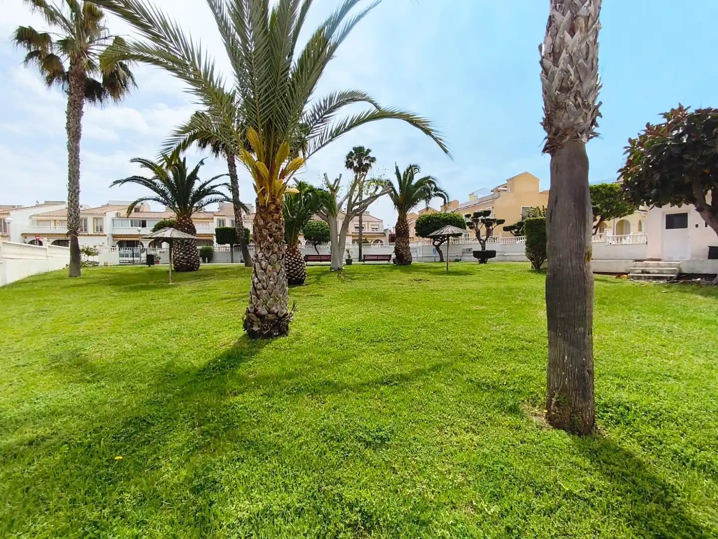 Planta baja en venta en CANARIAS, 8, Monte y Mar