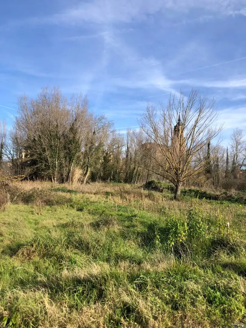 Terreni e lotti in vendita a Murillo de Río Leza, imagen 14