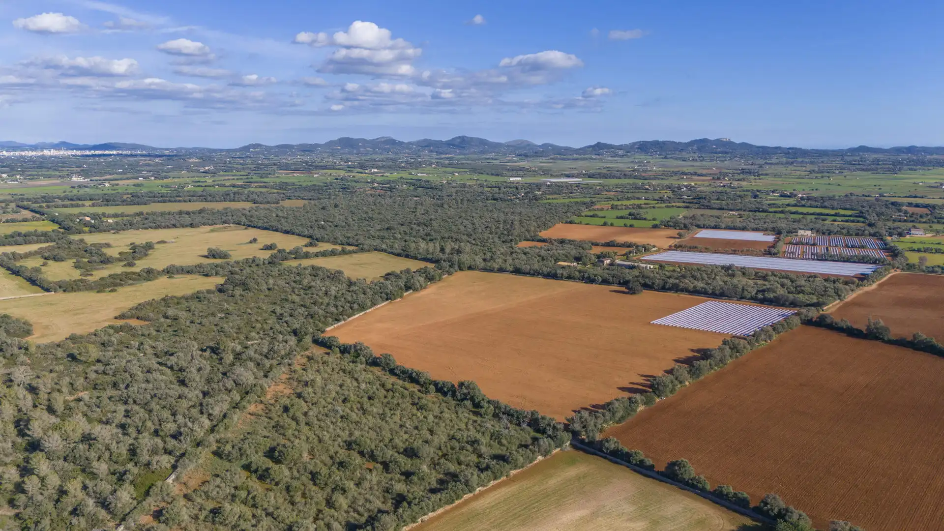 Finca rústica en venta en Vilafranca de Bonany con Terraza, Trastero y Balcón