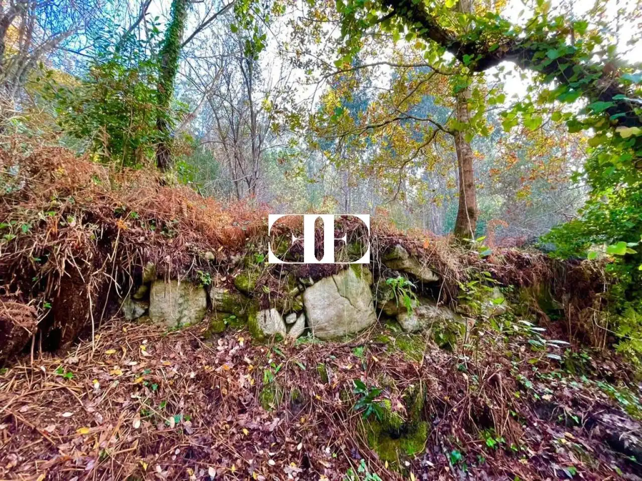 Terreno rustico in vendita a Poligono 15 Parcela 363 Jardin Oia, imagen 7