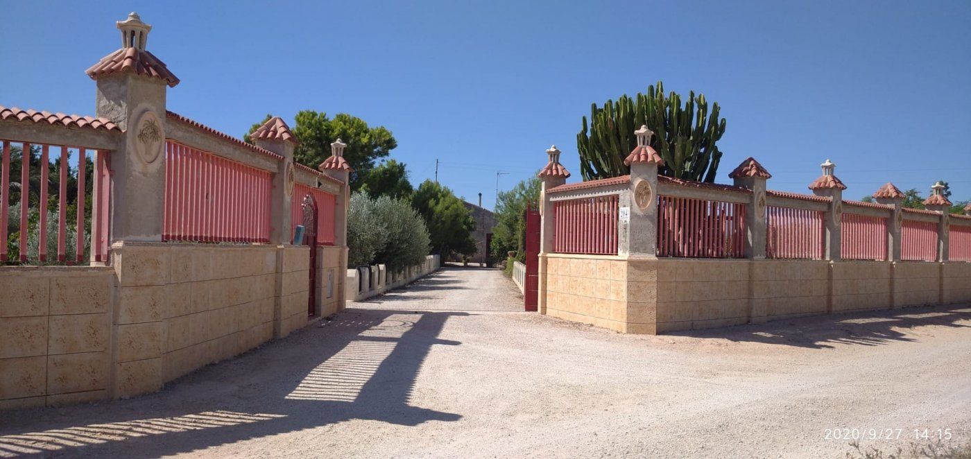 Vista exterior de Finca rústica en venda en Elche / Elx amb Aire condicionat, Jardí privat i Terrassa