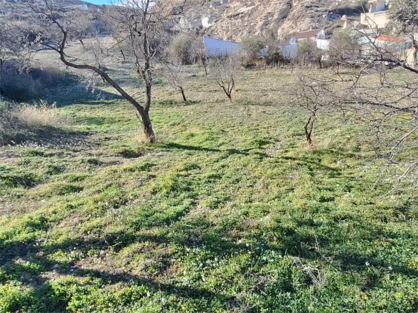 Casa o xalet en venda en Baza amb Jardí privat