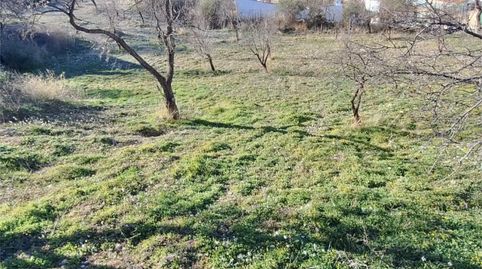 Foto 5 de Casa o xalet en venda a Calle Angélica, 10, Baza, Granada