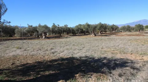 Foto 4 de Finca rústica en venta en Urbanizacion Carretera de Cartama, Centro, Alhaurín El Grande