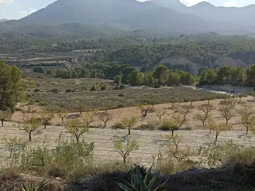 Villa avec terrasse à vendre à Partida el Llosar, imagen 12