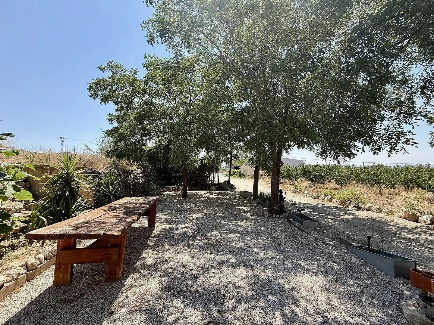 Finca rústica en venda en Villena amb Terrassa